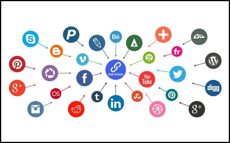 Một số loại backlink chất lượng phổ biến