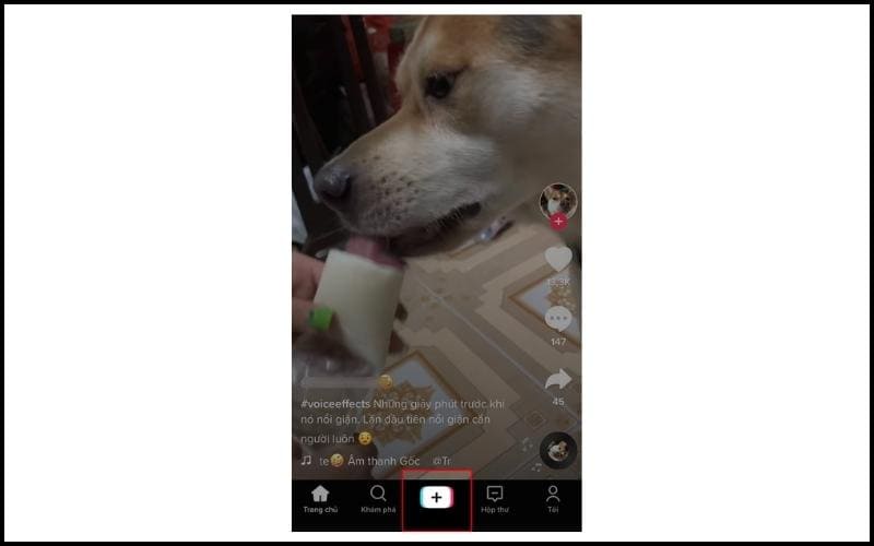 L&agrave;m chậm video trực tiếp tr&ecirc;n Tiktok
