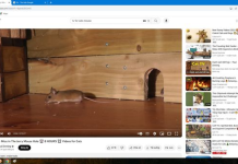 XÂY DỰNG SỰ NGHIỆP TRIỆU ĐÔ VỚI SOCIAL TRAFFIC+ YOUTUBE VIEW NGOẠI
