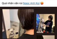 HÀNH TRÌNH XÂY DỰNG HỆ THỐNG CỘNG ĐỒNG FACEBOOK 5 TRIỆU THÀNH VIÊN TRONG VÒNG 11 THÁNG